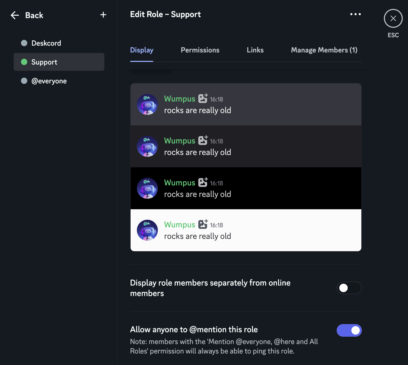 Discord's role settings, Display tab of a Support role, with "Allow anyone to @mention this role" turned on